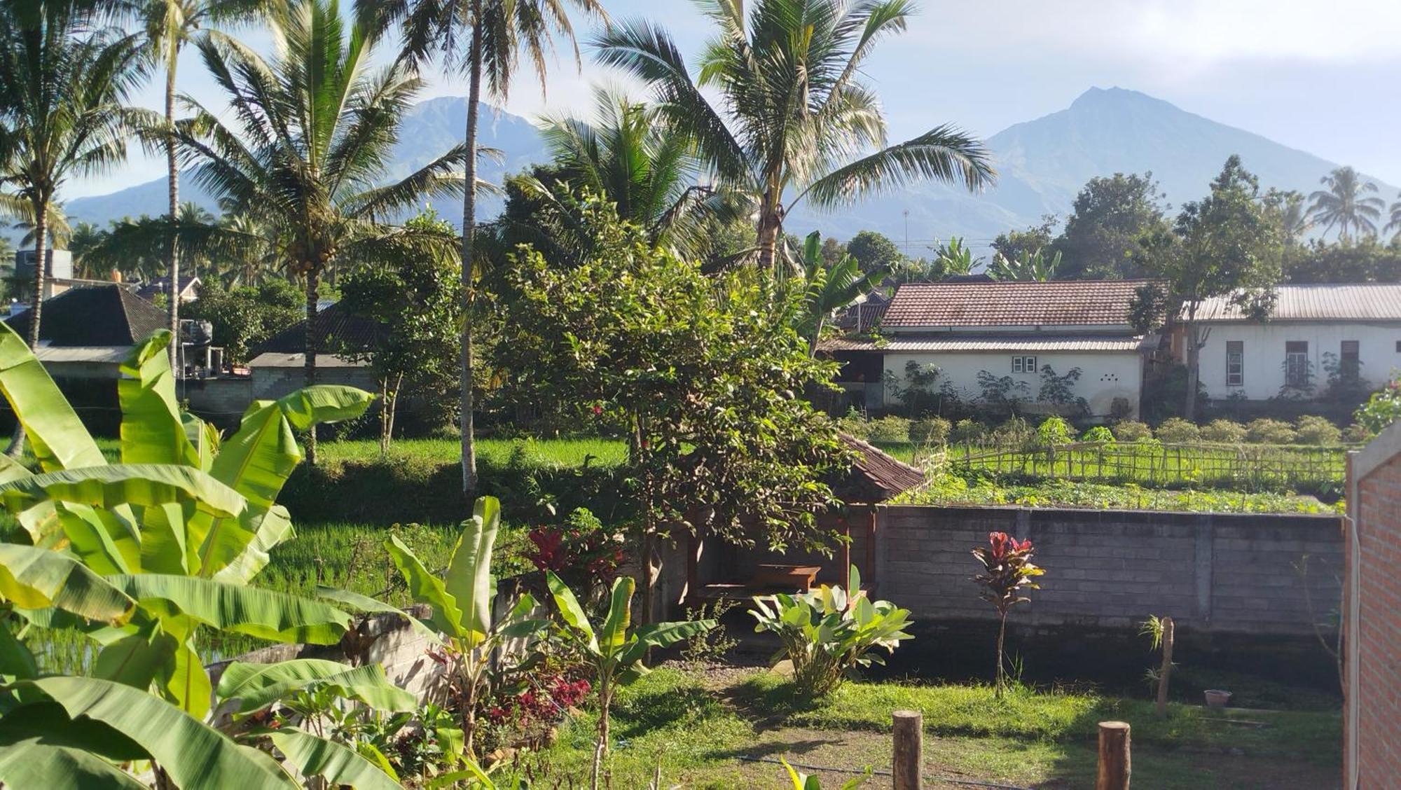 Arista Homestay Tetebatu Exterior photo
