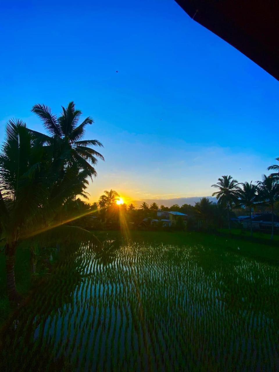 Arista Homestay Tetebatu Exterior photo